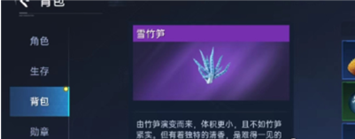 星球重启竹笋煲怎么做 星球重启竹笋煲怎么做