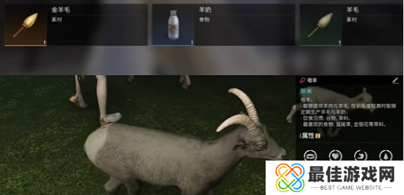 七日世界金羊毛如何获取 七日世界金羊毛如何获取