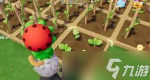 心动小镇南瓜种植方法