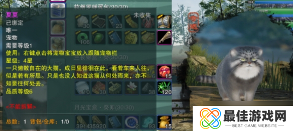 《剑网3》寻猫记奇遇完成攻略