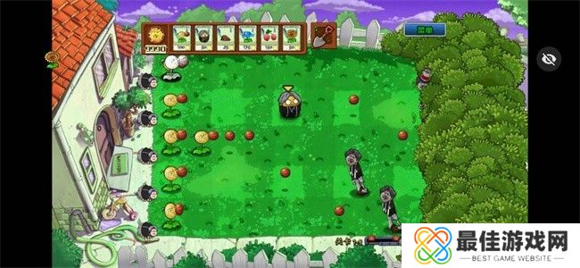 植物大战僵尸ikun手机版