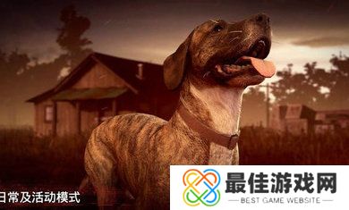 勇闯死人谷2正版