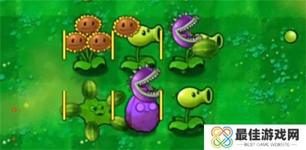 植物大战僵尸融合版大麦版