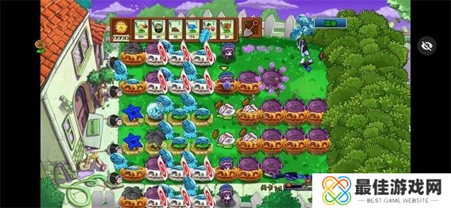 植物大战僵尸ikun手机版