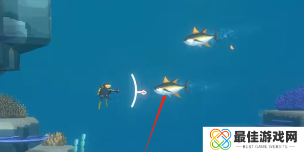 潜水员戴夫金枪鱼怎么抓 金枪鱼在哪里可以抓到[多图]图片1