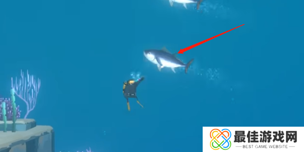 潜水员戴夫金枪鱼怎么抓 金枪鱼在哪里可以抓到[多图]图片2