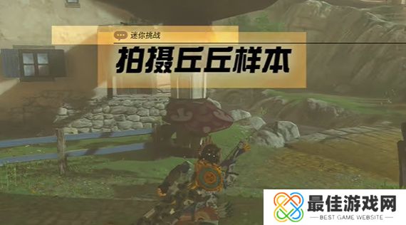 王国之泪拍摄丘丘样本任务攻略 塞尔达拍摄丘丘样本怎么过[多图]图片1