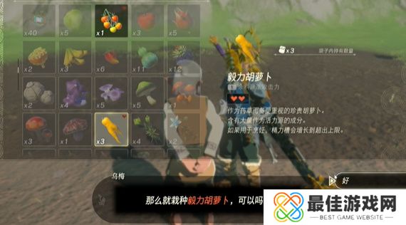 王国之泪在乌梅的田里种什么攻略 塞尔达在乌梅的田里种什么怎么过[多图]图片4
