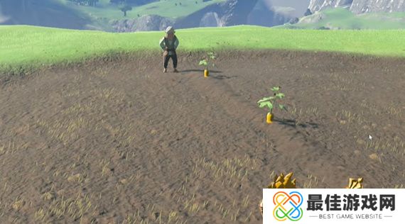 王国之泪在乌梅的田里种什么攻略 塞尔达在乌梅的田里种什么怎么过[多图]图片7