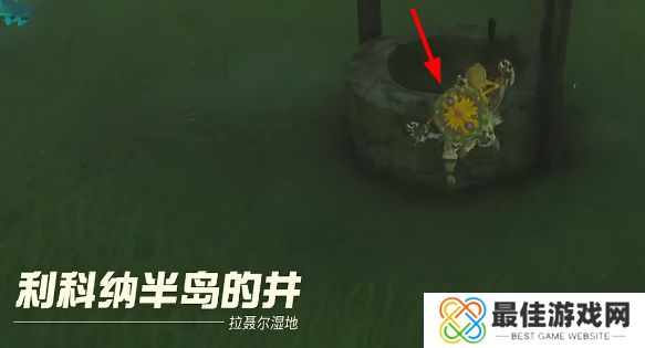 王国之泪炖怪物怎么做 塞尔达炖怪物制作方法攻略[多图]图片3