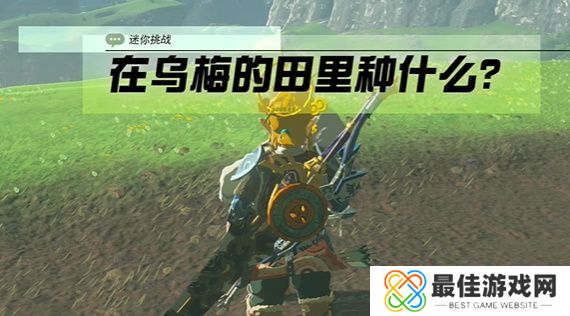 王国之泪在乌梅的田里种什么攻略 塞尔达在乌梅的田里种什么怎么过[多图]图片1