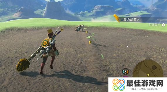 王国之泪在乌梅的田里种什么攻略 塞尔达在乌梅的田里种什么怎么过[多图]图片8