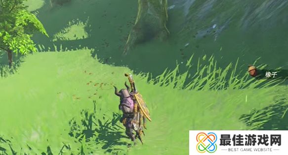 王国之泪鲜奶如何获得 塞尔达鲜奶位置分享[多图]图片4