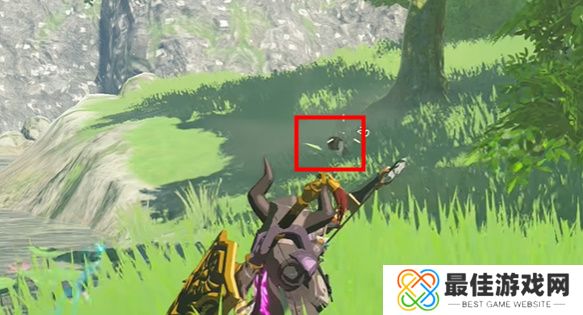 王国之泪鲜奶如何获得 塞尔达鲜奶位置分享[多图]图片5