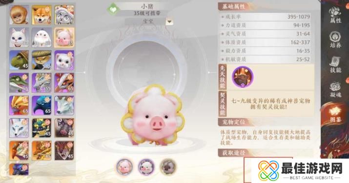 天龙八部2飞龙战天宠物小猪怎么获得 小猪宝宝获取攻略[多图]图片2