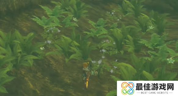 王国之泪克洛格族的布料怎么获得 塞尔达克洛格族的布料在哪里弄[多图]图片4