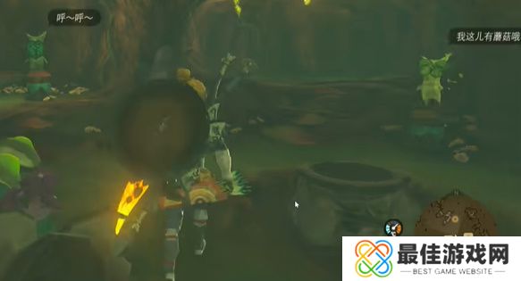 王国之泪德库树长老是秘密基地攻略 塞尔达德库树长老是秘密基地怎么过[多图]图片3