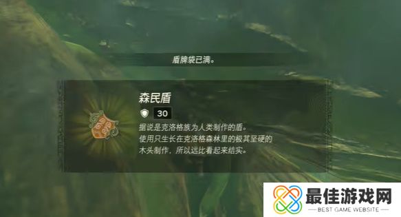 王国之泪纳末敏的寻宝游戏攻略 塞尔达纳末敏的寻宝游戏任务怎么过[多图]图片9