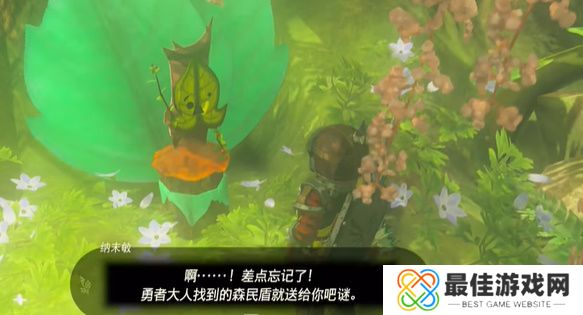 王国之泪纳末敏的寻宝游戏攻略 塞尔达纳末敏的寻宝游戏任务怎么过[多图]图片12