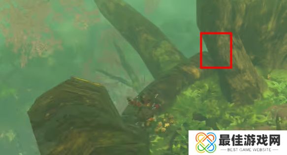 王国之泪纳末敏的寻宝游戏攻略 塞尔达纳末敏的寻宝游戏任务怎么过[多图]图片5