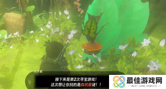 王国之泪纳末敏的寻宝游戏攻略 塞尔达纳末敏的寻宝游戏任务怎么过[多图]图片7