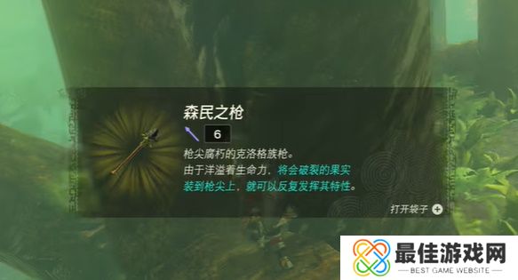 王国之泪纳末敏的寻宝游戏攻略 塞尔达纳末敏的寻宝游戏任务怎么过[多图]图片6