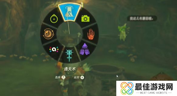 王国之泪纳末敏的寻宝游戏攻略 塞尔达纳末敏的寻宝游戏任务怎么过[多图]图片10