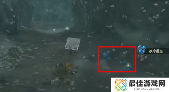 王国之泪跨越冰冷的水玩法攻略 塞尔达跨越冰冷的水怎么过[多图]图片8