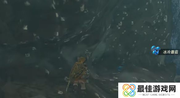 王国之泪跨越冰冷的水玩法攻略 塞尔达跨越冰冷的水怎么过[多图]图片4