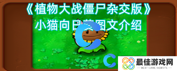 植物大战僵尸杂交版小猫向日葵图文介绍