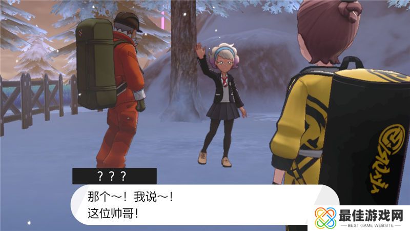 精灵宝可梦剑盾