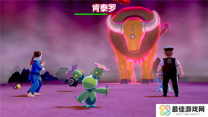 精灵宝可梦剑盾