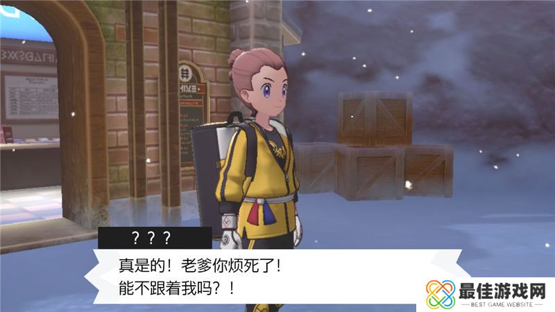 精灵宝可梦剑盾