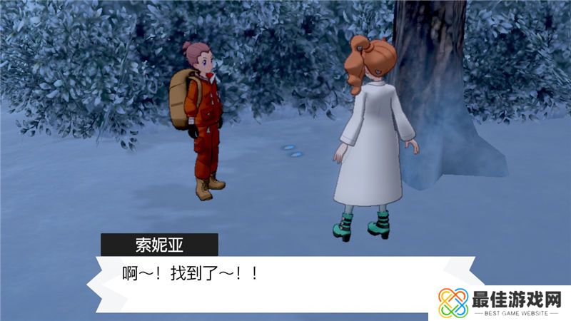 精灵宝可梦剑盾