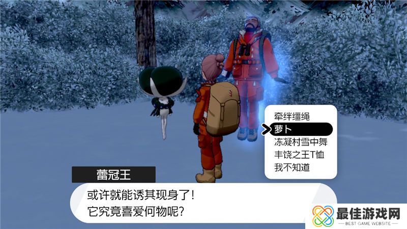 精灵宝可梦剑盾