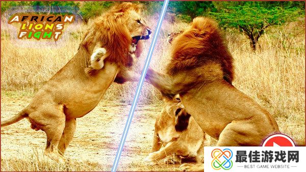 非洲狮模拟器中文版