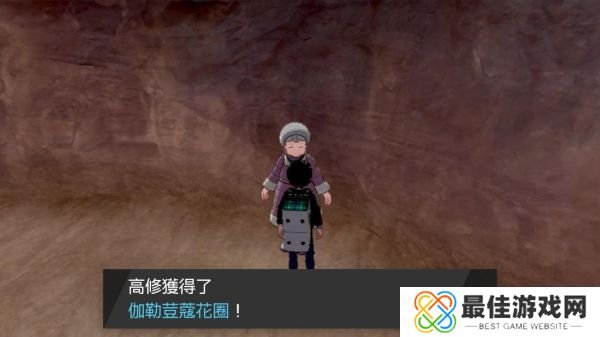 精灵宝可梦剑盾