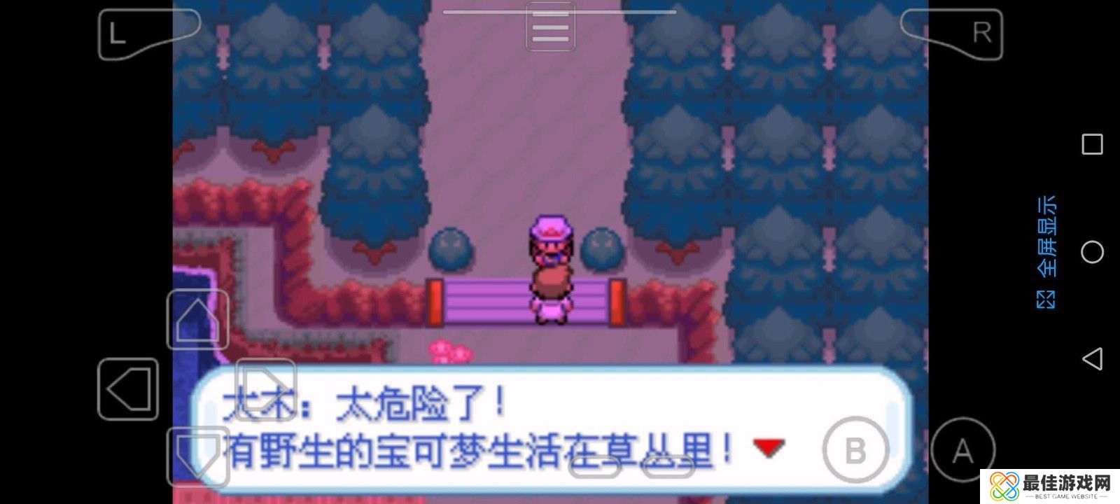 精灵宝可梦圣光白