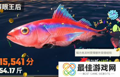 欢乐钓鱼大师怎么快速提升等级 欢乐钓鱼大师怎么提升等级