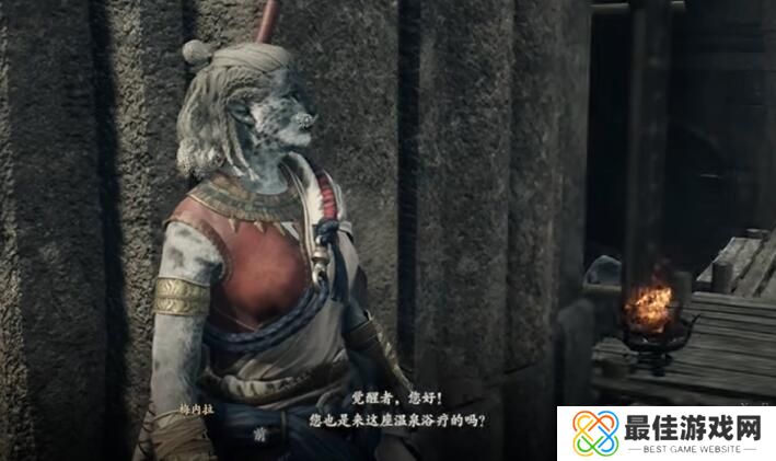 龙之信条2秘密越境任务攻略