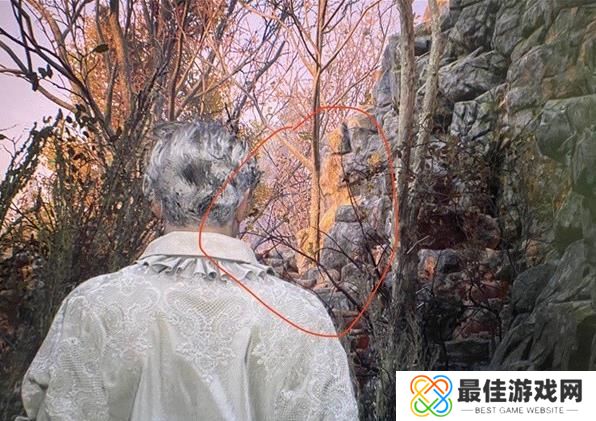 生化危机4重制版村长家防止刷狗攻略 避免刷狗办法[图]图片1