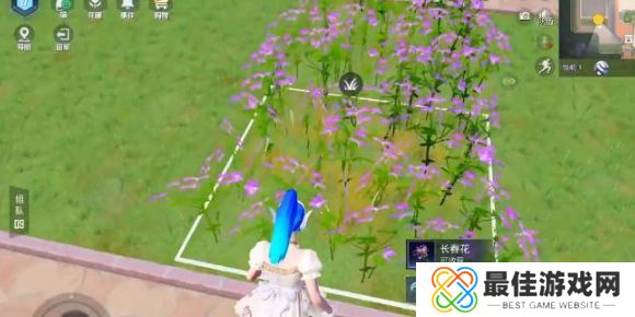 和平精英花圃种子在哪买的 花圃种子获得方法介绍[多图]图片1