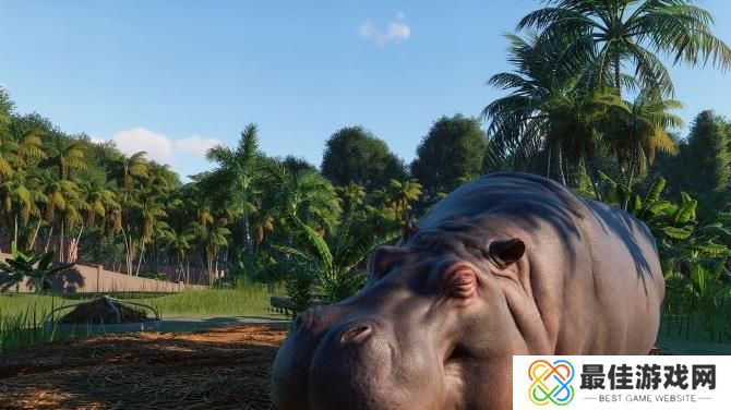 动物园之星狒狒同款