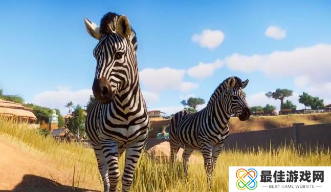 动物园之星狒狒同款